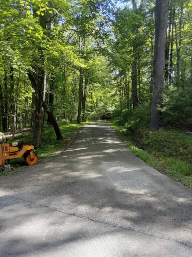 A paved road through a dense, green forest with tall trees on either side. A yellow steamroller is parked on the left side of the road.