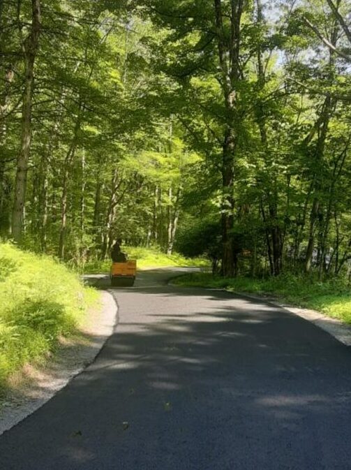A freshly paved road winds through a lush, green forest with a yellow construction vehicle in the distance.