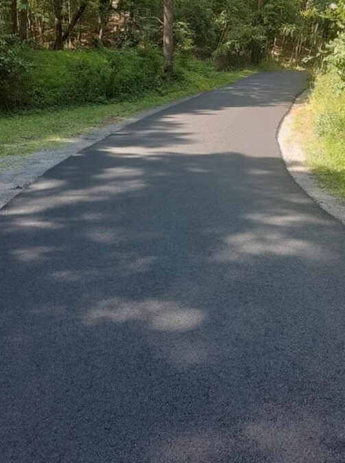 A newly paved, winding road cuts through a forested area with sunlight casting shadows on its surface.